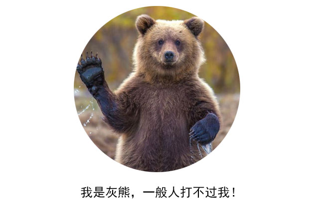 熊2