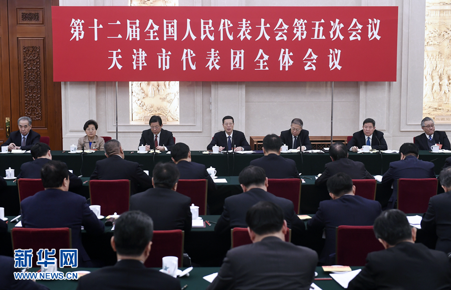 3月6日，中共中央政治局常委、国务院副总理张高丽参加十二届全国人大五次会议天津代表团的审议。新华社记者 燕雁 摄