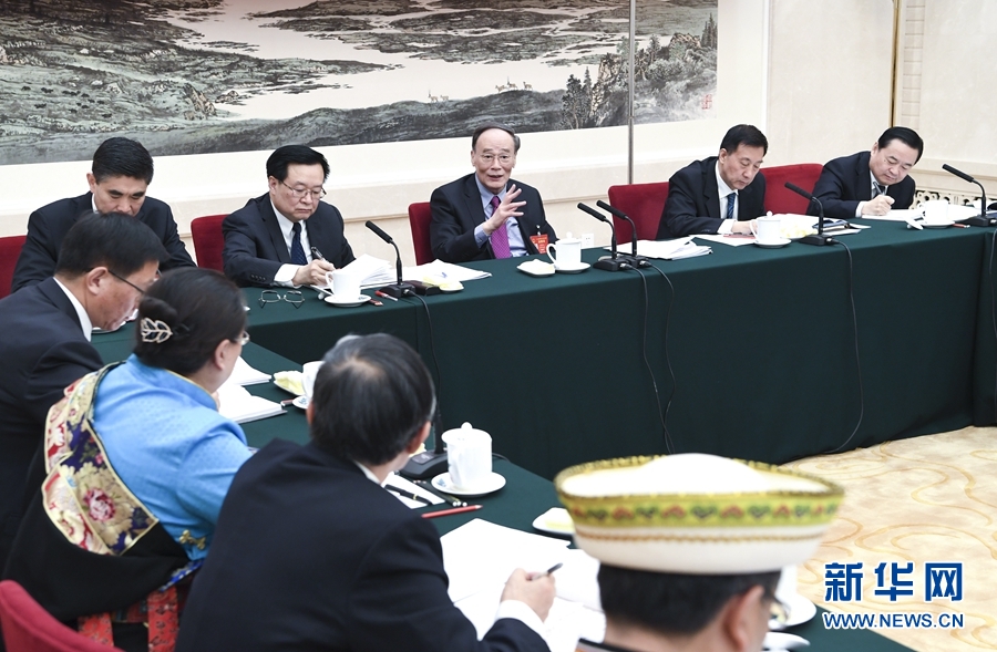 3月6日，中共中央政治局常委、中央纪委书记王岐山参加十二届全国人大五次会议青海代表团的审议。新华社记者 张领 摄
