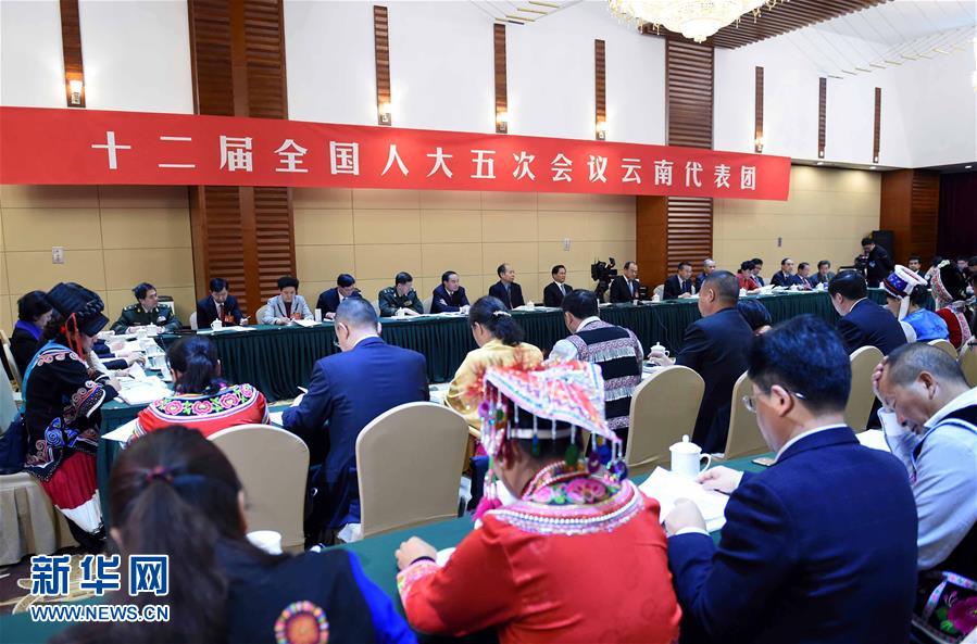3月7日，十二届全国人大五次会议云南代表团全体会议向媒体开放。新华社记者杨宗友摄