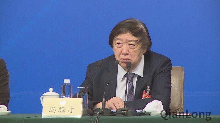 全国政协常委，民进中央原副主席，中国文联副主席，中国民间文艺家协会主席冯骥才出席记者会并在会上发言。