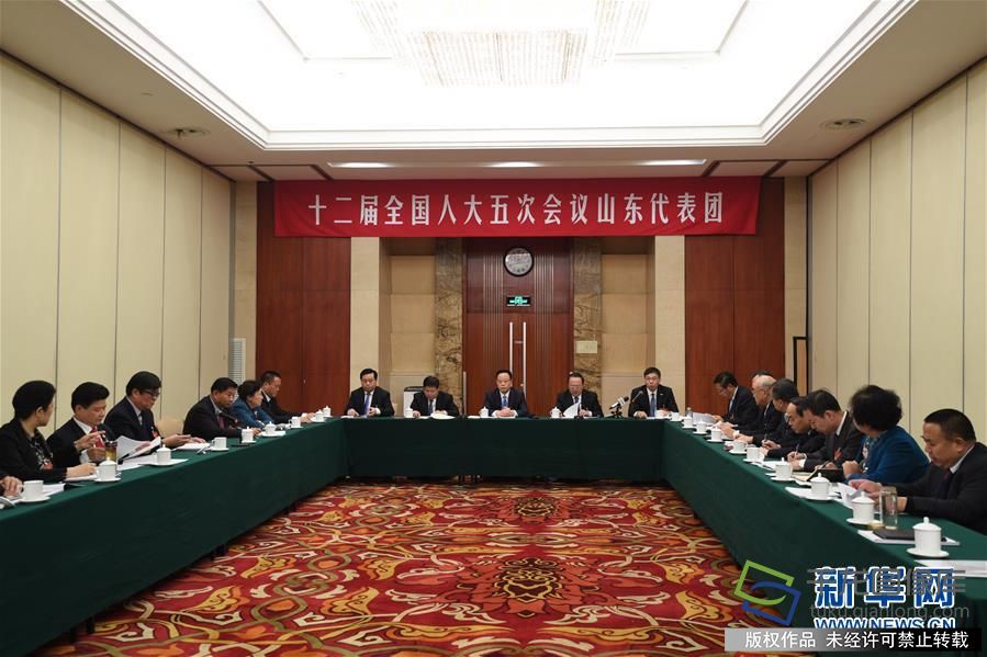3月7日，十二届全国人大五次会议山东代表团小组会议向媒体开放。新华社记者 王建华 摄