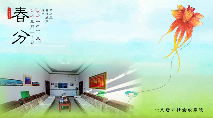 春分:竖蛋有什么依据-千龙网·中国首都网