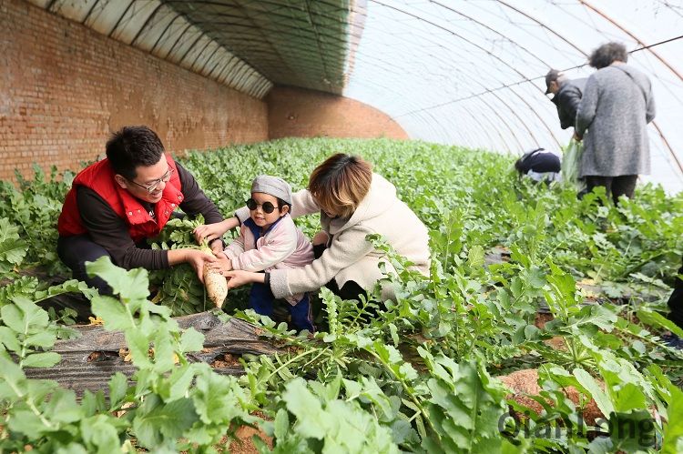 学春耕 吃长席宴 王致和请您在北京最美乡村里