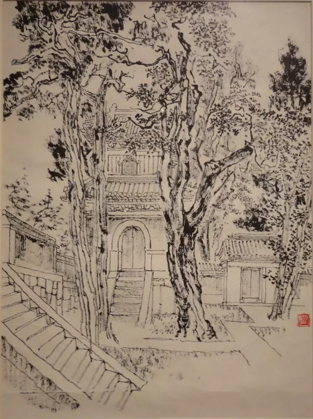 对现实失望?有人在黑白灰的世界里寻求安慰-千