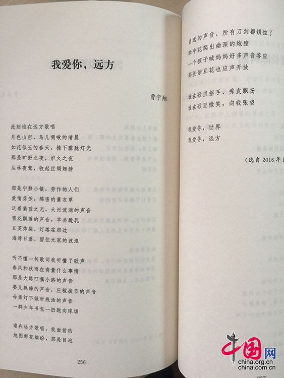 北京之春:中国年度优秀诗歌2016卷分享会举行