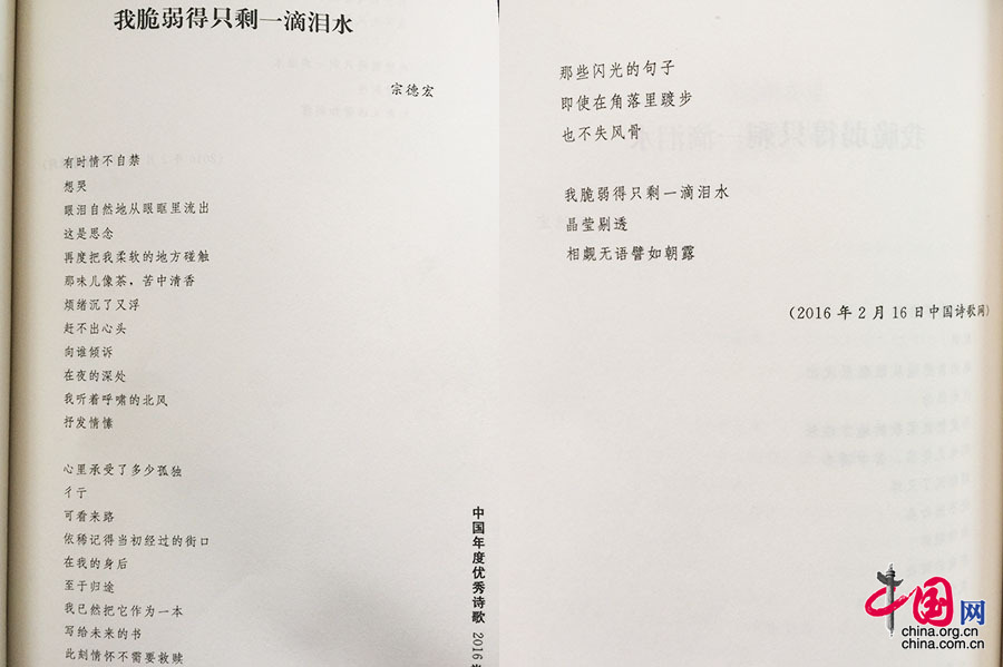 北京之春:中国年度优秀诗歌2016卷分享会举行