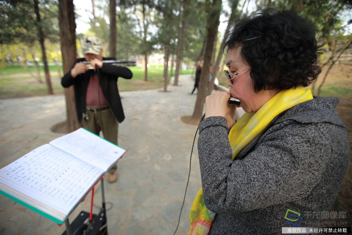 号称京城最大的口琴如椽似树,有这么夸张吗?-