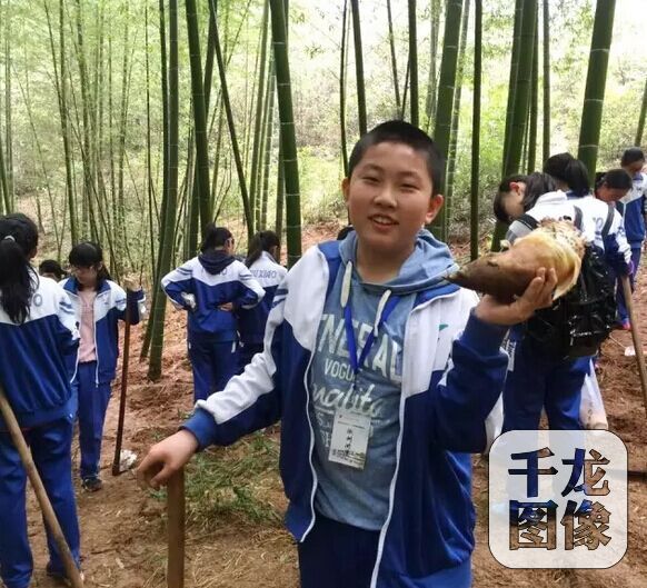 QQ图片20170410114843