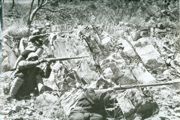 2017年密云尖岩村水库移民风情文化节暨 栗子