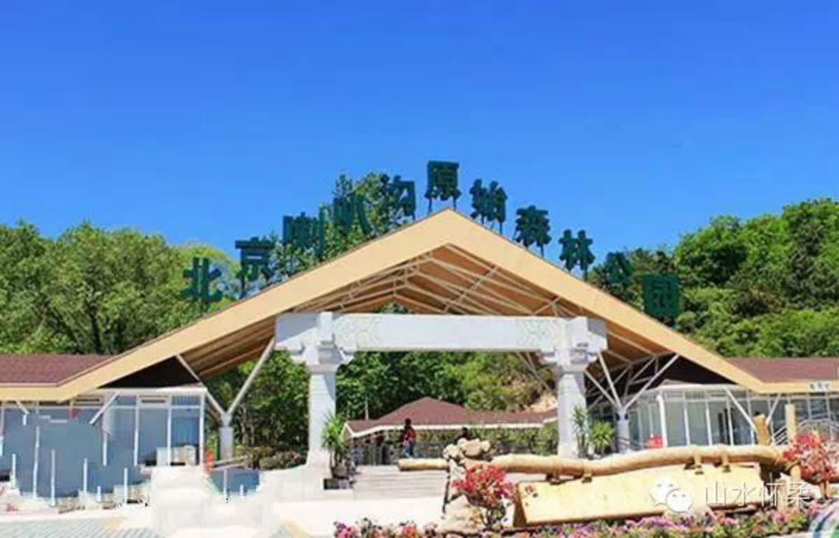 线路三：喇叭沟原始森林公园