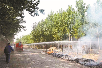 北京市启动杨柳絮清理防火灾-千龙网·中国首