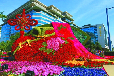 高峰论坛景观布置完成 立体花坛喜迎 一带一路