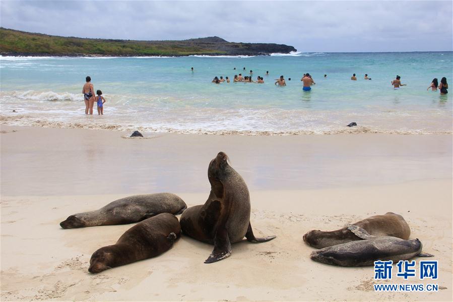 kjcq201501200109-6aa