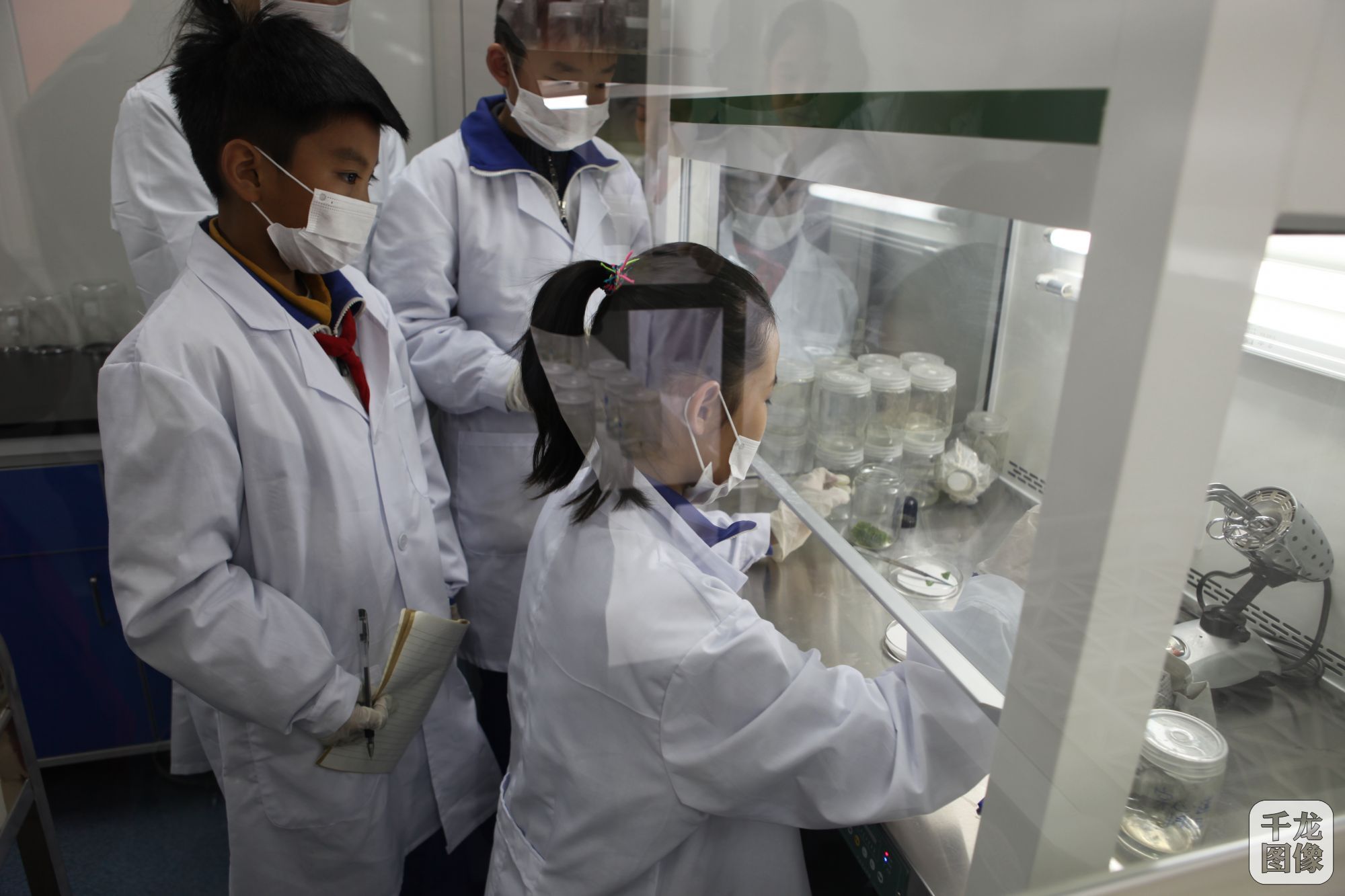 学生在组培实验室里做组培实验