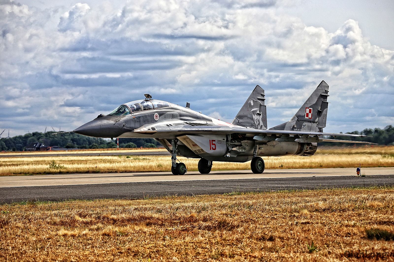 波兰派遣战机参加北约预警机队成立庆典 苏-22M4的老虎涂装很拉风(8)
