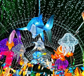 南宫艺术灯光夜 点亮北京不夜城