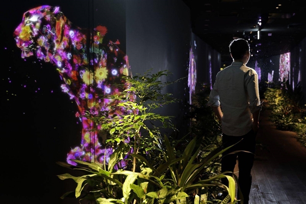 宅男都看过这些作品！揭秘日本最牛互联网创业之星