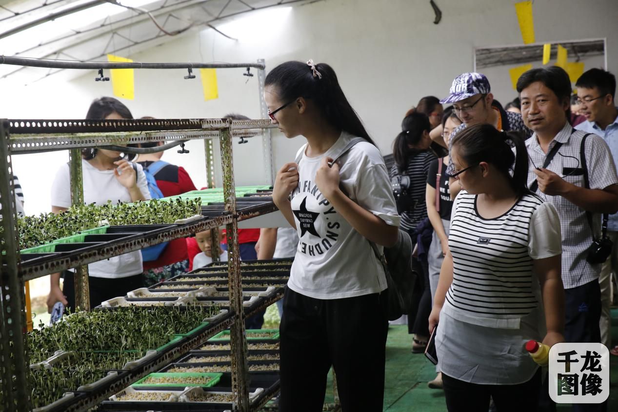 社区青年零距离接触智慧农业 感受小种子大梦