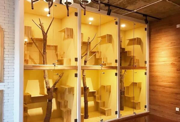 幸福的宠物酒店,主人请放心(3)