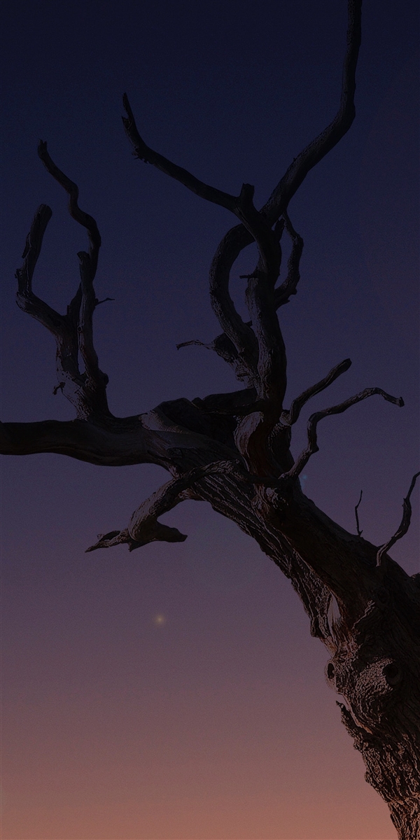 iPhone X自带壁纸：没有&ldquo;刘海&rdquo;世界都清爽了