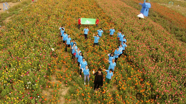相约最美花期 通州花仙子万花园600亩花海已盛
