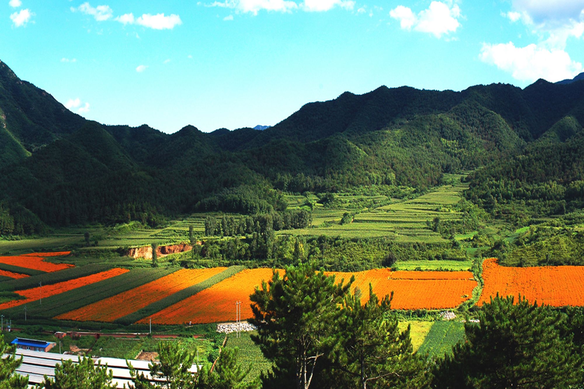 天凉好个秋喜迎双节 去京郊20个金秋醉美村镇看看吧-千龙网·中国首都网