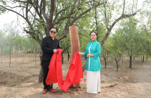 首届中国·庆云唐枣文化雅集在庆云唐枣生态园