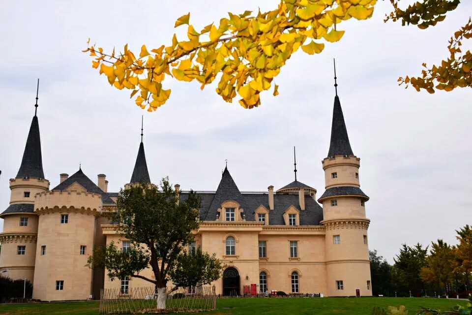 秋季出游 到密云张裕爱斐堡国际酒庄体验葡萄