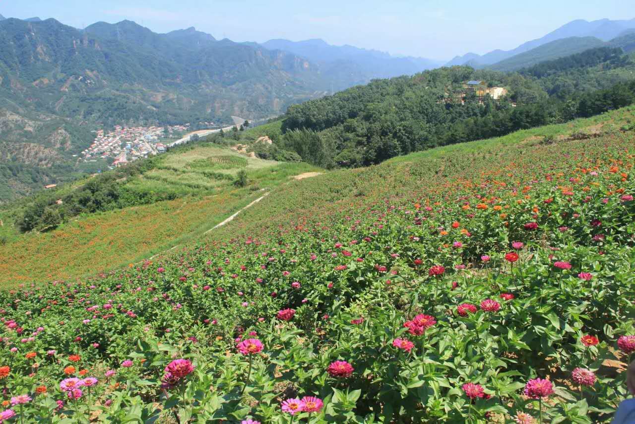 密云区特别推出密云承德金秋两日游以及三日游