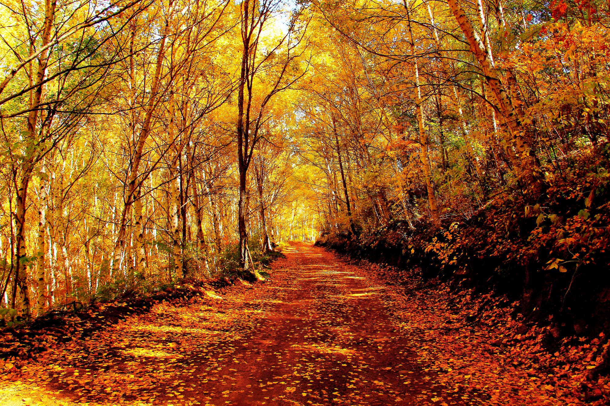 密云区特别推出密云承德金秋两日游以及三日游