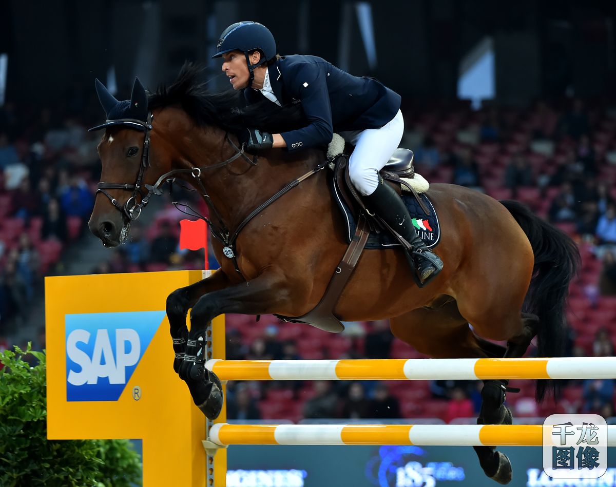 10月13日-15日，第七届北京国际马术大师赛在国家体育场（“鸟巢”）盛大上演。图为骑手在比赛瞬间。千龙网记者 戚连民摄