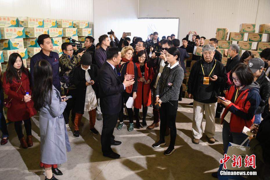 十九大境外记者河北探访&ldquo;京津冀协同发展&rdquo;