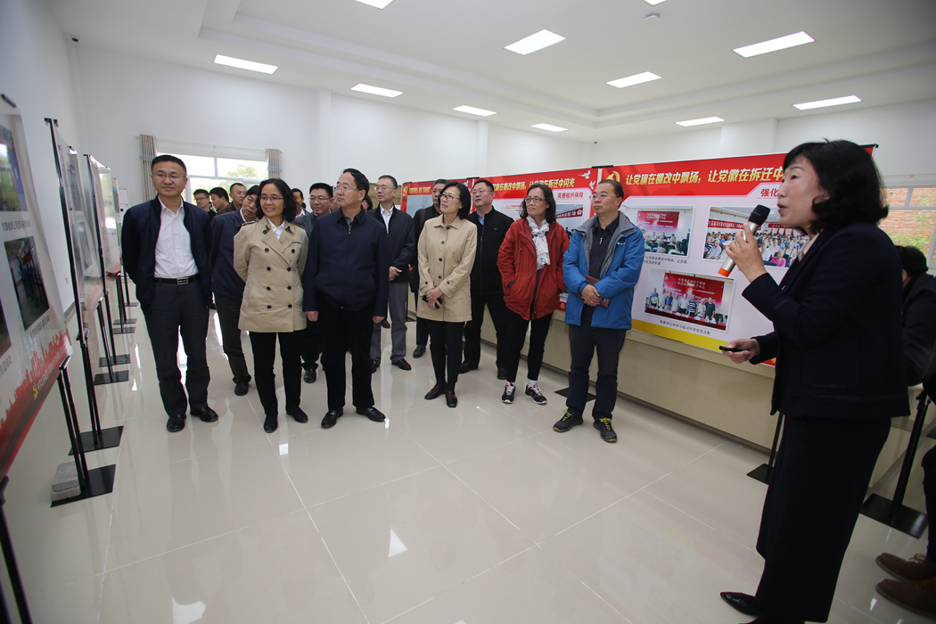 顺义区临河村棚改项目介绍党建引领棚改经验和学习贯彻十九大精神_副本