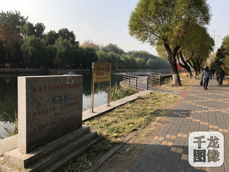 水清了、景美了，如今的亮马河已成为朝阳左家庄辖区一条靓丽的风景线。图为亮马河沿岸。千龙网记者 查甜甜摄