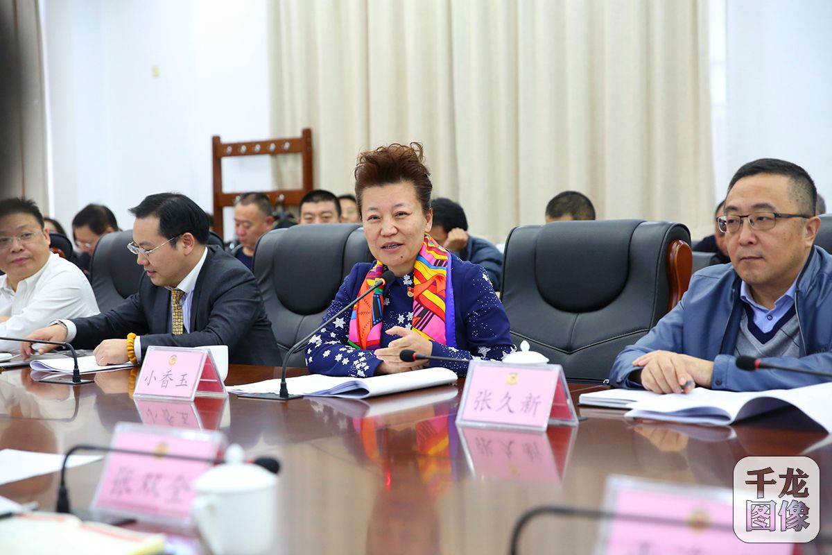 代表小香玉平谷政协常委扩大会上宣讲十九大精神 崔东亮摄 (6)1200