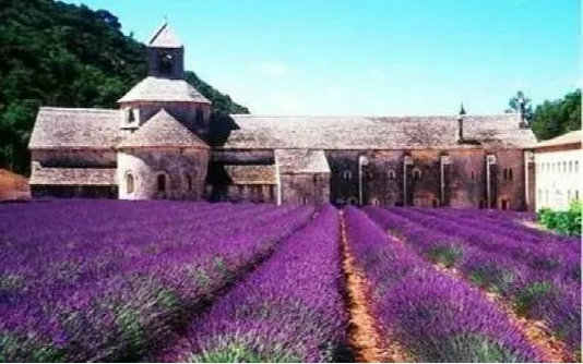 中营都市陈可石:传统村镇是中国伟大农耕文明