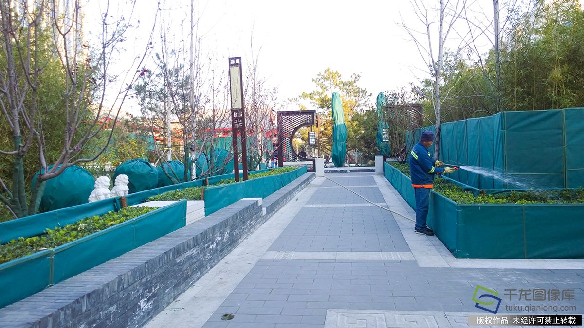 京强冷空气来袭 公园绿植披冬装(3)-千龙网·