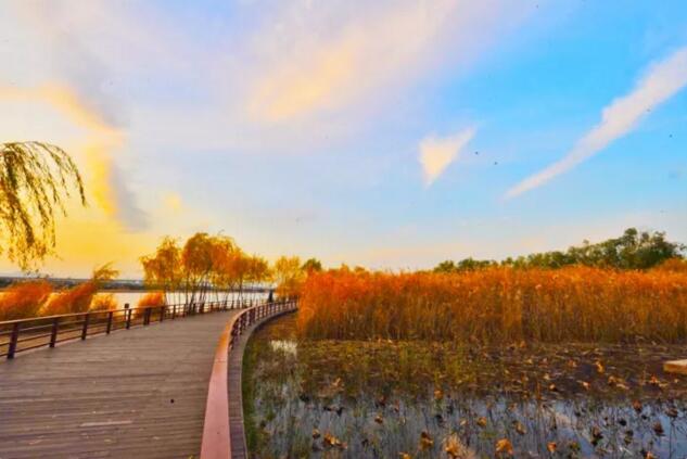 QQ截图20171201091921