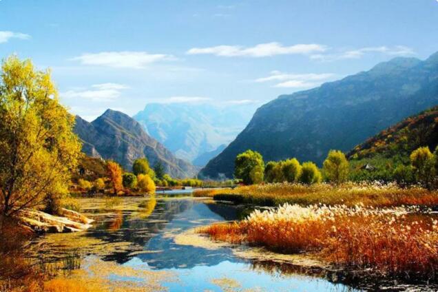 QQ截图20171201092236