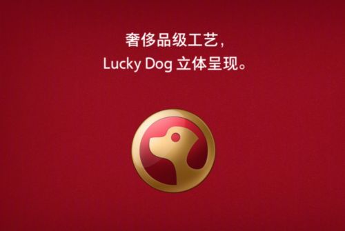 OPPO R11s星幕新年版配置没有任何变化，采用6.01英寸18:9全面屏，屏占比为85.8%，搭载骁龙660处理器，内置4GB运存+64GB存储，后置2000万像素智选双摄，前置2000万像素AI智慧美颜，电池容量为3205mAh，支持VOOC闪充，支持人脸识别，还搭载了全新UI，官方以新年红为灵感，重绘了25个系统图标，与整机外观相得益彰。最主要的是，OPPO R11s星幕新年版还赠送周杰伦的礼物，以杰伦经典曲目为设计元素，内含杰伦明信片、杰伦人形立牌，杰伦歌词手机壳等配件。