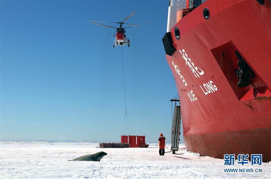 (第34次南极科考)(7)南极风光·可爱生灵
