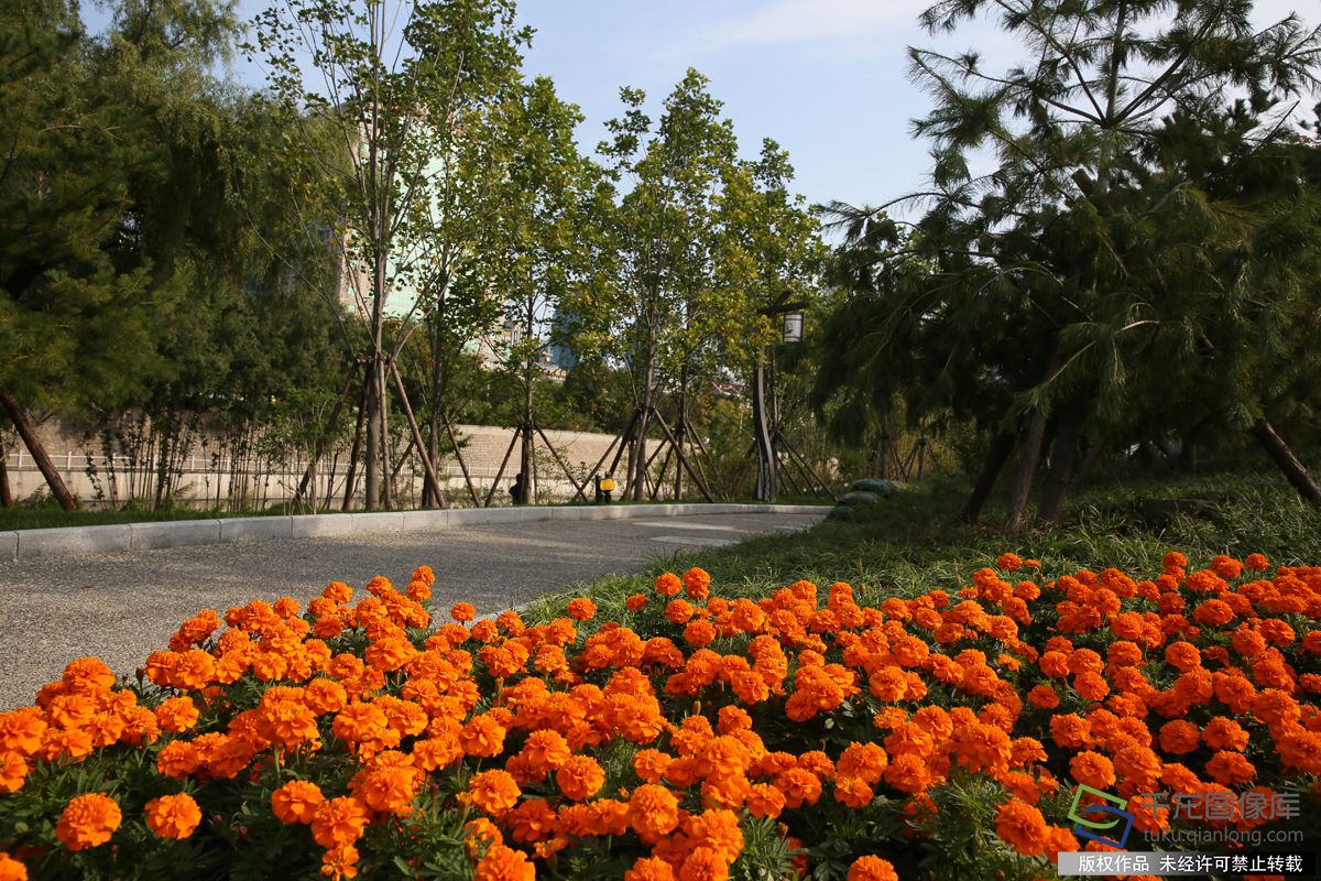 新时代新气象新作为|很快,北京城将沉浸在一片