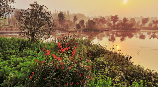 【中国梦·实践者】山东代村王传喜:打造全国首个“国家农业公园”