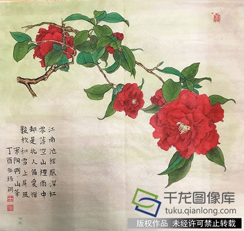 张琢玥+茶花