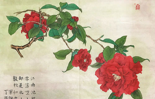 张琢玥：茶花