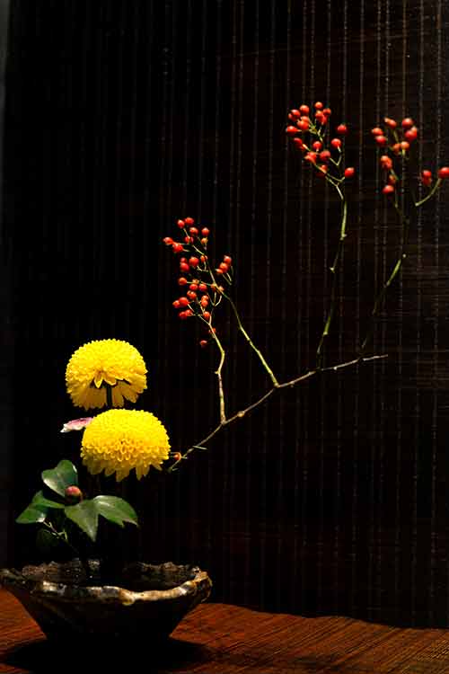 插花1