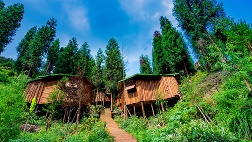 邛崃南宝山景区推出19.9月票，引爆新年成都旅游市场