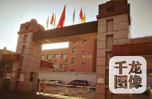 图片6