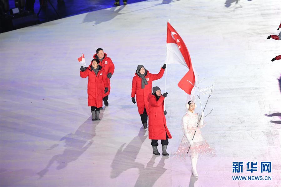 （冬奥会）（196）平昌冬奥会举行开幕式